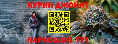прущие крисы Будённовск