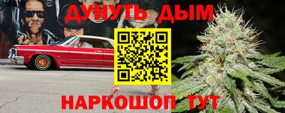 прущие крисы Будённовск